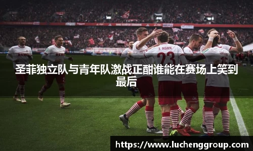 IM电竞官网