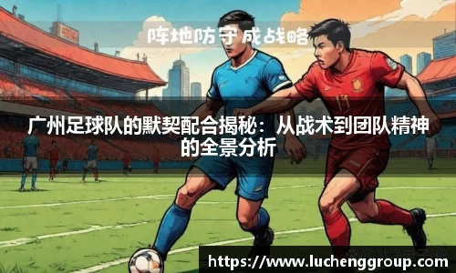 IM电竞-电子竞技平台