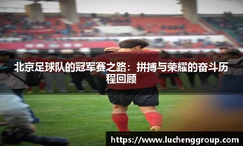 IM电竞股份有限公司