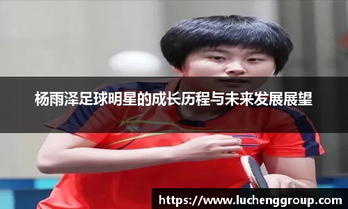 IM电竞股份有限公司