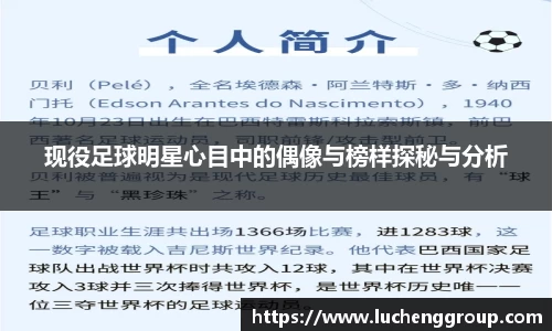 IM电竞股份有限公司